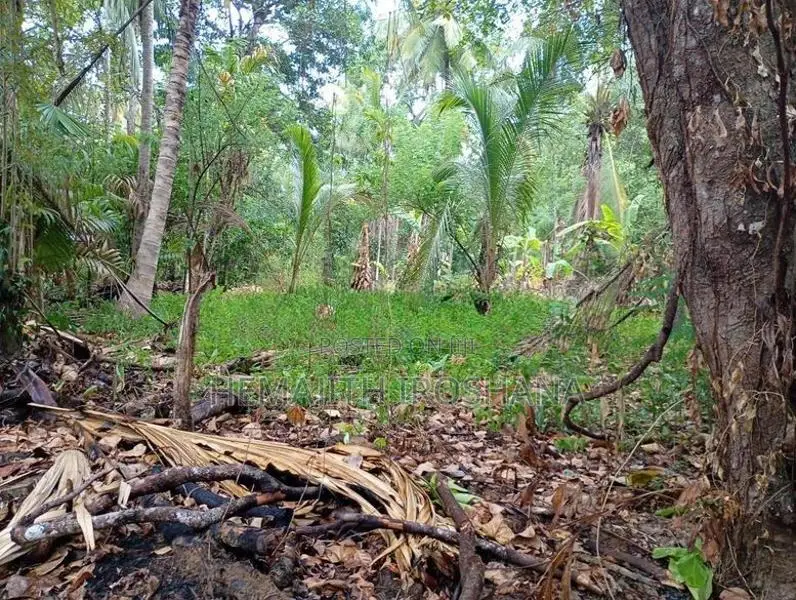 Land For Sale Obbegoda In Monaragala