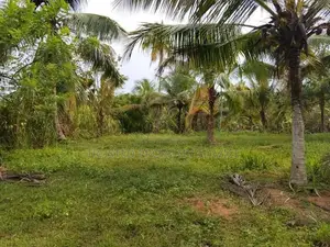 Narammala Land for Sale