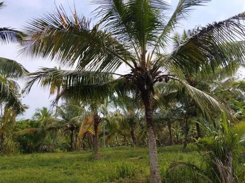 Narammala Land for Sale