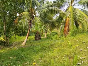 Narammala Land for Sale