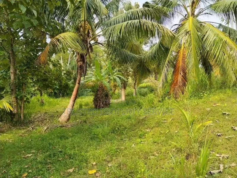 Narammala Land for Sale