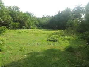 Land For Sale In Jaffna