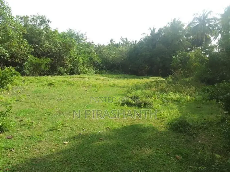 Land For Sale In Jaffna