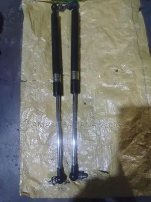 Dicky Door Shocks