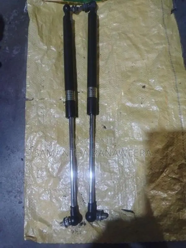 Dicky Door Shocks