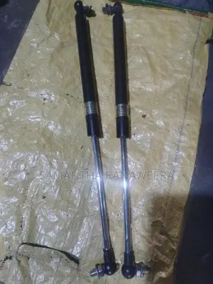 Dicky Door Shocks
