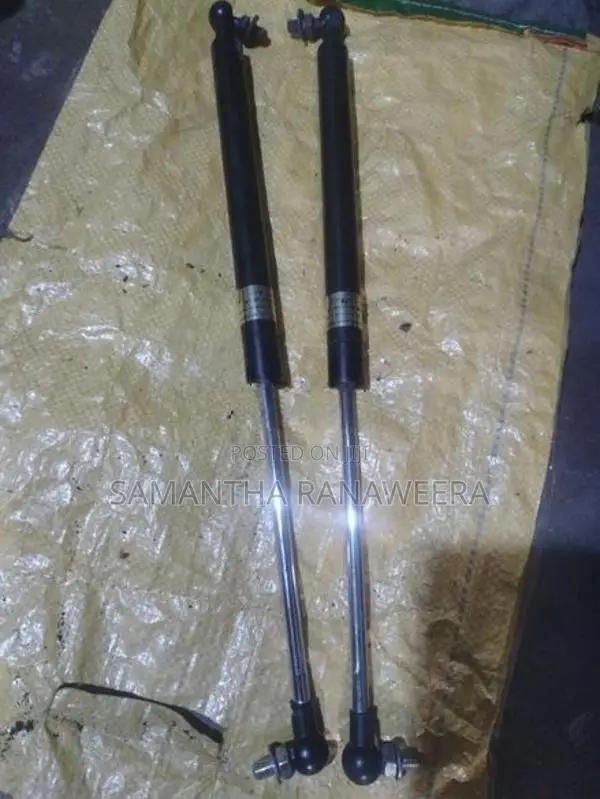 Dicky Door Shocks