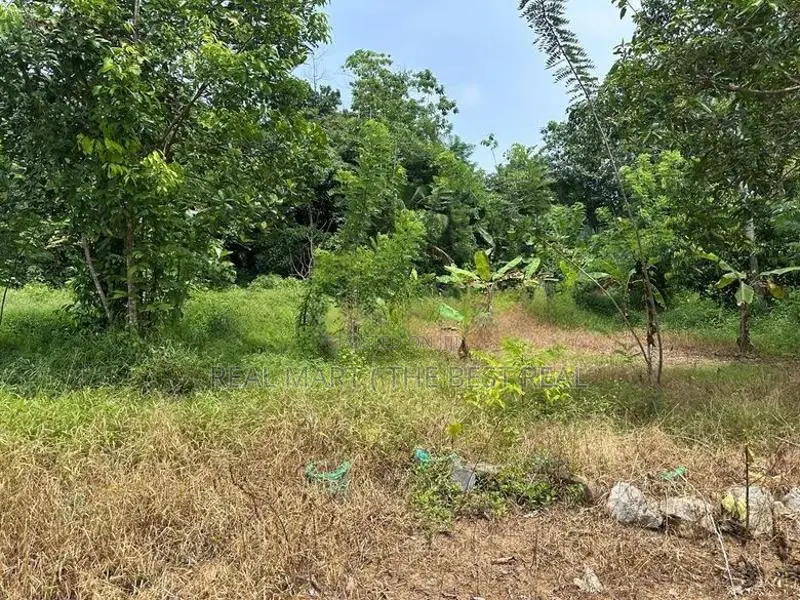 PILIYANDALA : 26 PERCHES LAND FOR SALE IN MADAPATHA