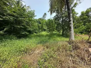 PILIYANDALA : 26 PERCHES LAND FOR SALE IN MADAPATHA