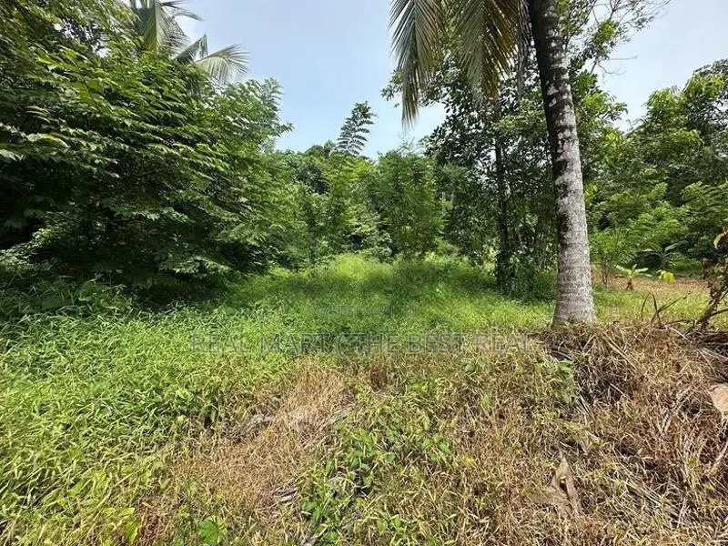 PILIYANDALA : 26 PERCHES LAND FOR SALE IN MADAPATHA
