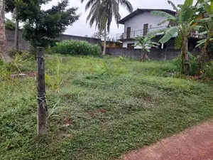 Bare Land in Monaragala