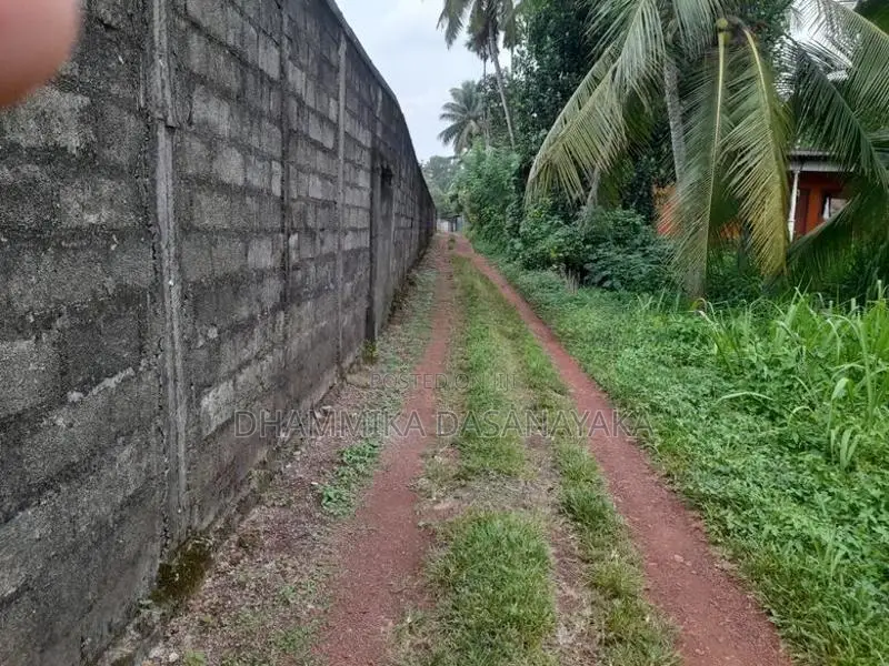 Bare Land in Monaragala