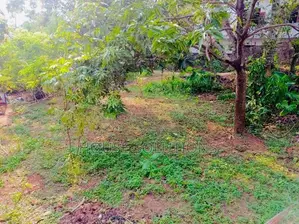 19 P Land for Sale Mount Lavinia Commercial Residential