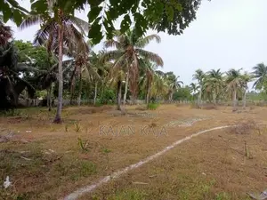 கொடிகாமத்தில் காணி விற்பனைக்கு