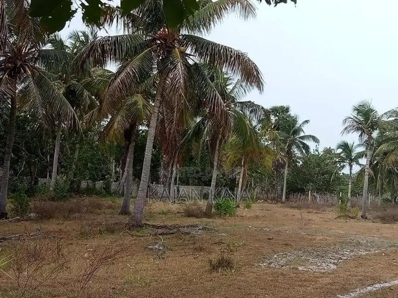 கொடிகாமத்தில் காணி விற்பனைக்கு
