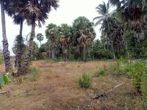 கொடிகாமத்தில் காணி விற்பனைக்கு