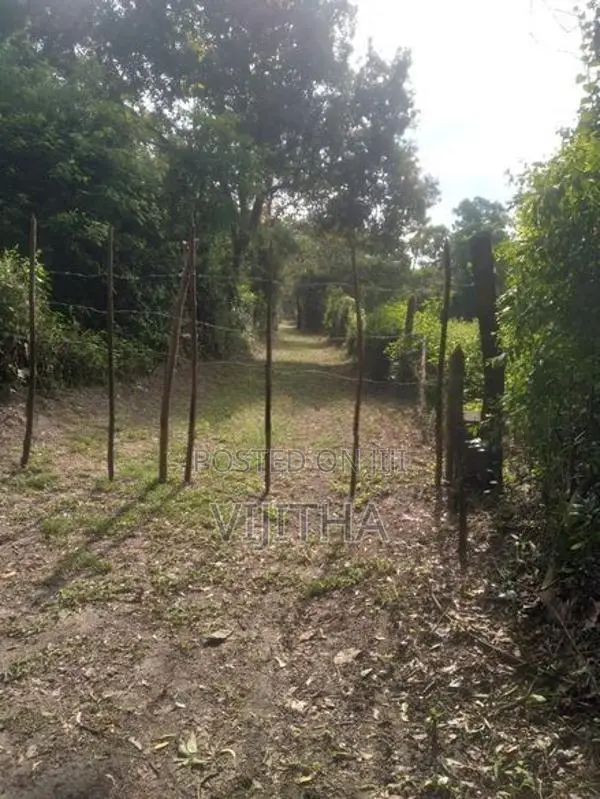 Land for Sale in Marakolliya 220 p