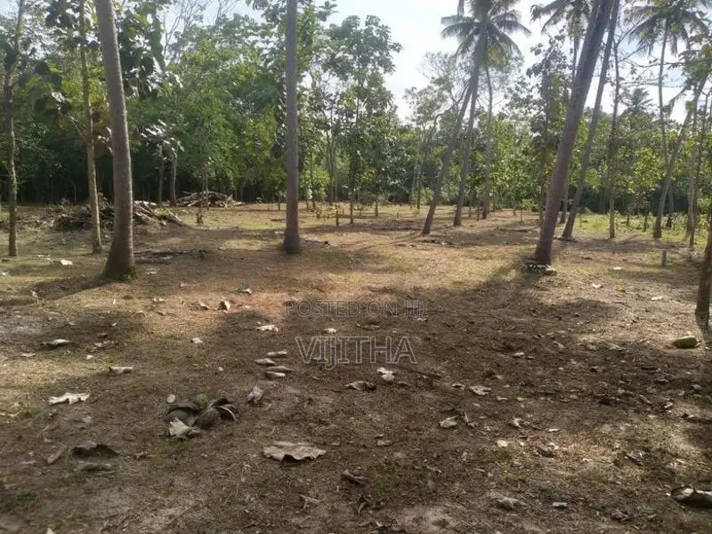 Land for Sale in Marakolliya 220 p
