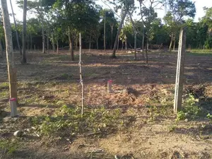 Land for Sale in Marakolliya 220 p
