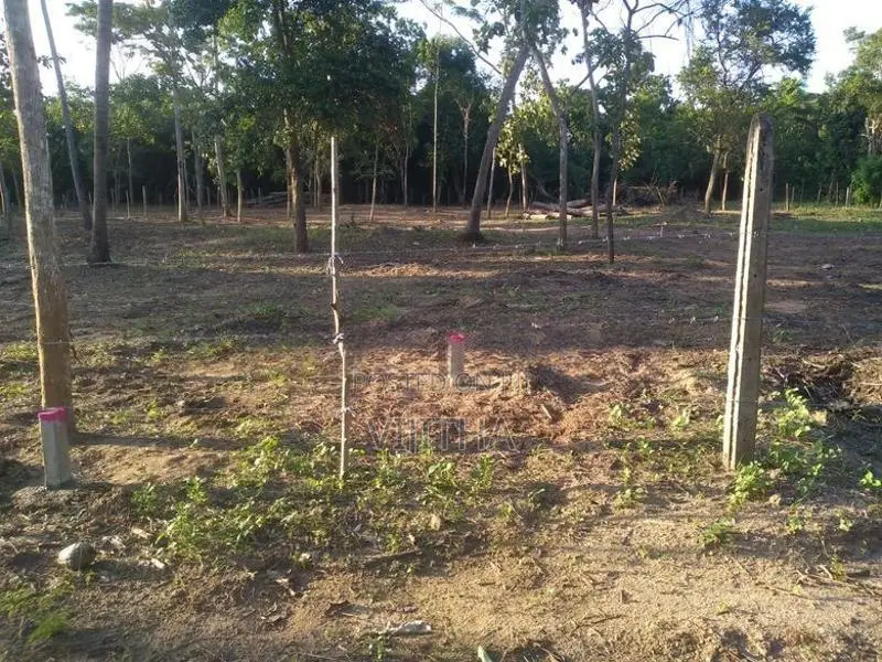 Land for Sale in Marakolliya 220 p