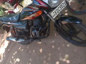Bajaj Platina 100 2015