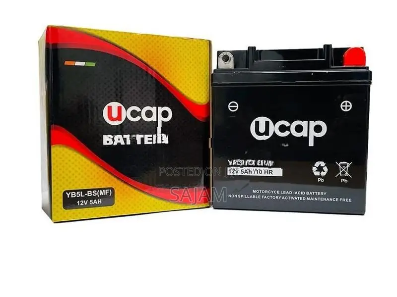 Auto Battery