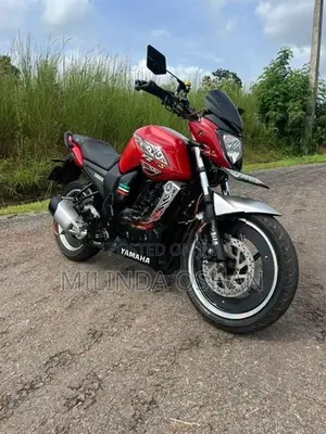 Yamaha FZ S V1 2015