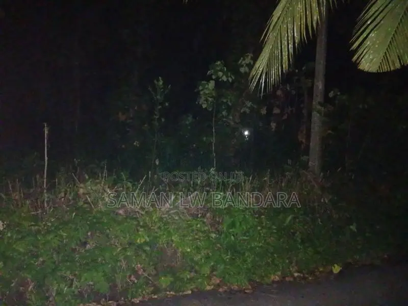 අක්කර දෙකක ඉඩමකි, මහියංගන දෙහිගොල්ල ,සොරබර වැව පාරේපිහිටා