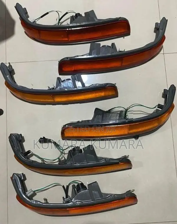 Dolphin Signal Light