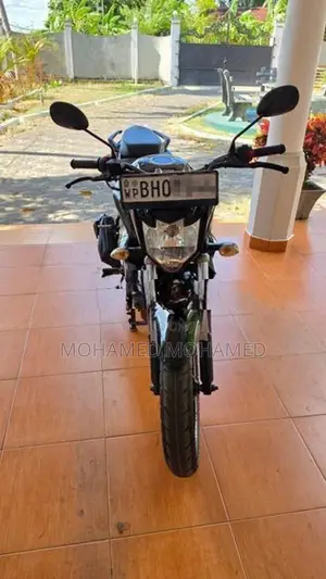 Yamaha FZs V2 2019