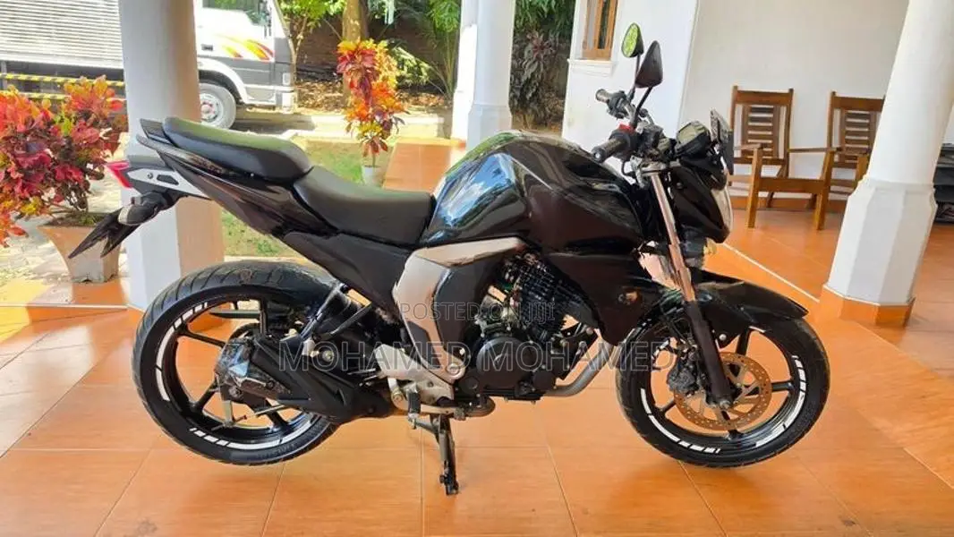 Yamaha FZs V2 2019
