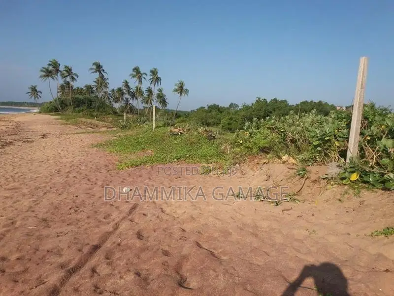 Beach Wive Land for Sales Ambalanthota