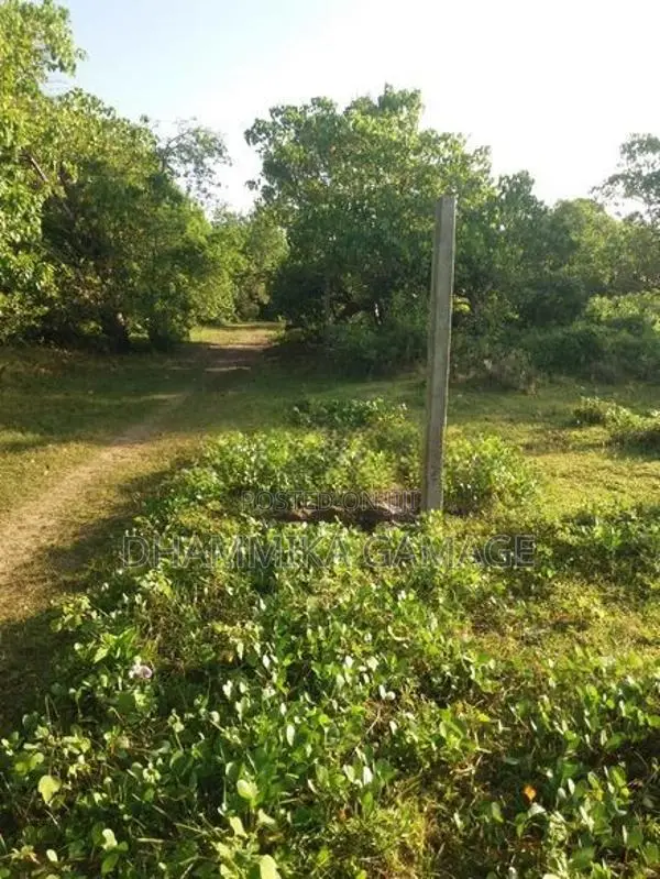Beach Wive Land for Sales Ambalanthota