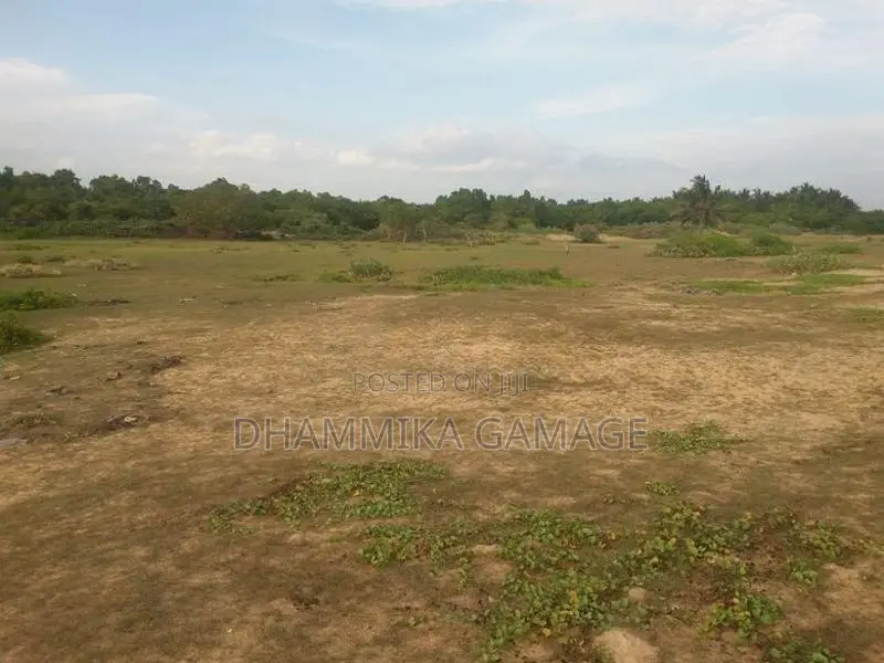 Beach Land for Sales Ambalanthota