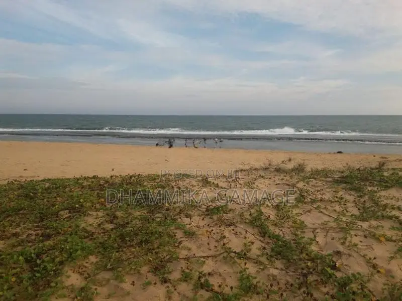 Beach Land for Sales Ambalanthota