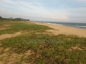 Beach Land for Sales Ambalanthota