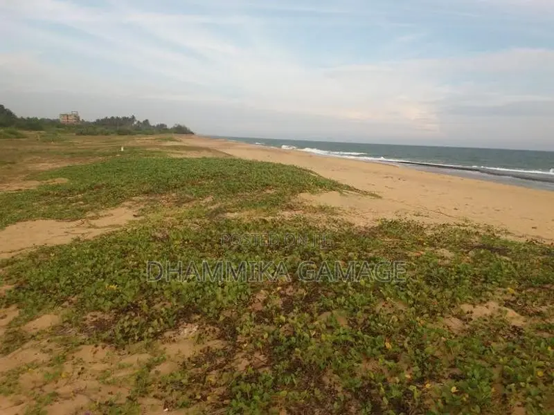 Beach Land for Sales Ambalanthota