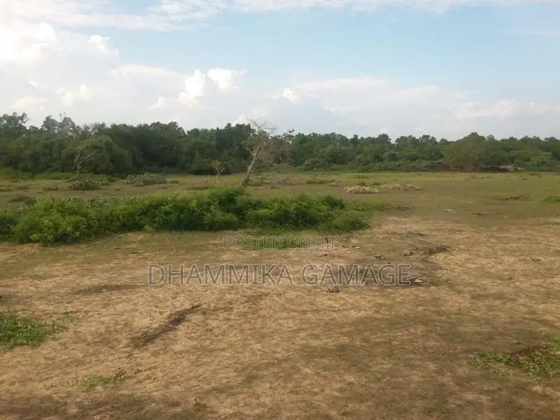 Beach Land for Sales Ambalanthota