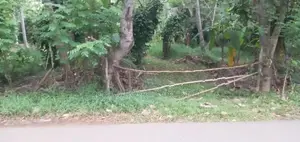 Land for Sale Dankotuwa