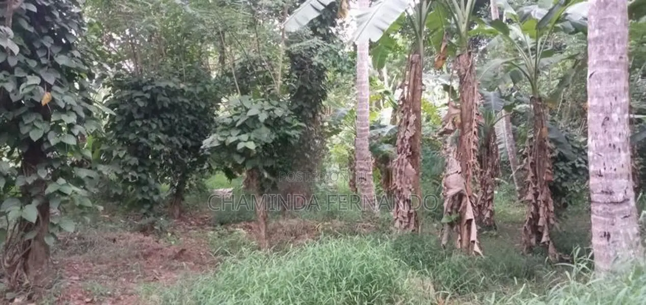 Land for Sale Dankotuwa