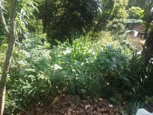 පර්චස් 17ක ඉඩමක් විකිනීමට ඇත - බන්ඩාරවෙල