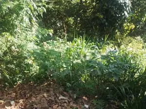පර්චස් 17ක ඉඩමක් විකිනීමට ඇත - බන්ඩාරවෙල