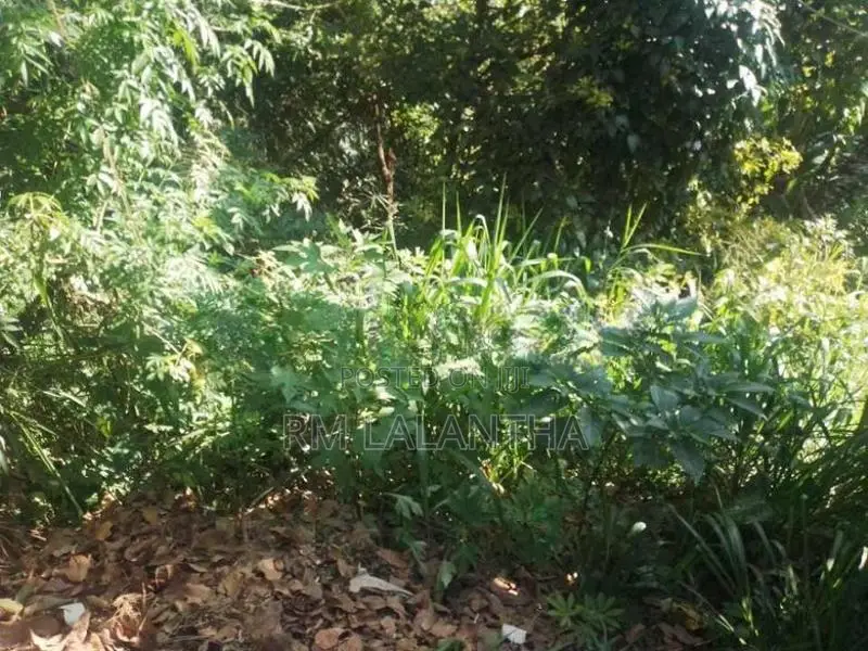 පර්චස් 17ක ඉඩමක් විකිනීමට ඇත - බන්ඩාරවෙල
