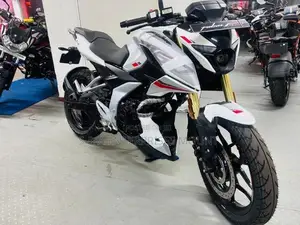 Bajaj Pulsar N160 Premium 2026
