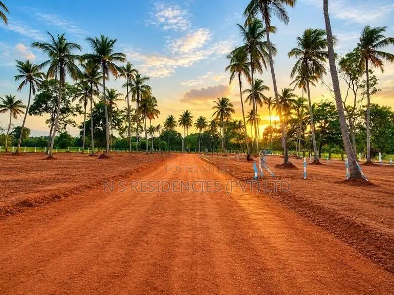 Paddy Field Face Land for Sale in Padeniya -M02