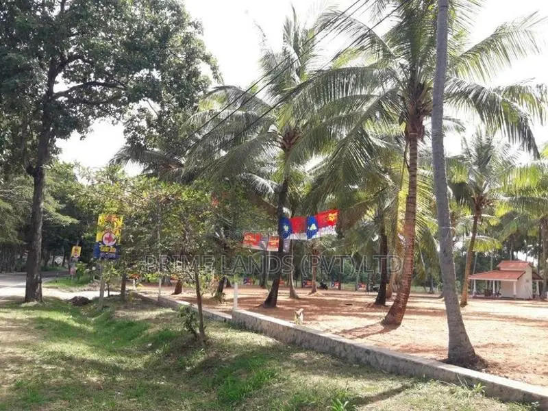 ඉඩමක් විකිනීමට බලල්ල