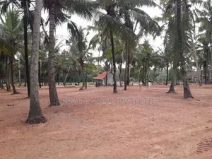 ඉඩමක් විකිනීමට බලල්ල