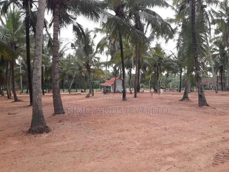 ඉඩමක් විකිනීමට බලල්ල