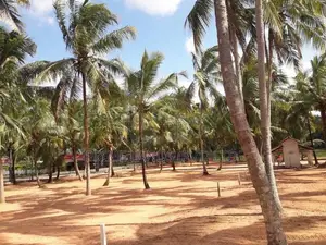 ඉඩමක් විකිනීමට බලල්ල