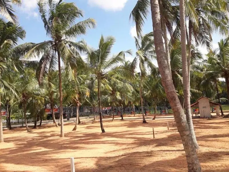 ඉඩමක් විකිනීමට බලල්ල